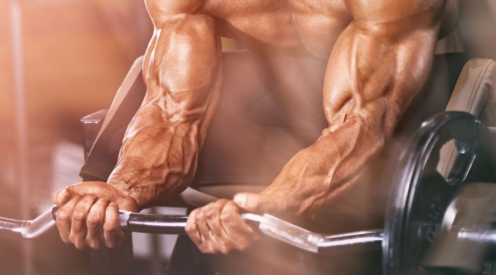 best creatine for muscle growth
